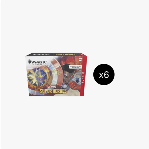MSH Bundle Case (Bundle X6)
